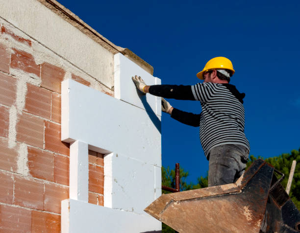 Best Blown-in Insulation in Ridgeway, VA