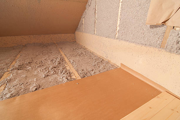Best Eco-Friendly Insulation in Ridgeway, VA